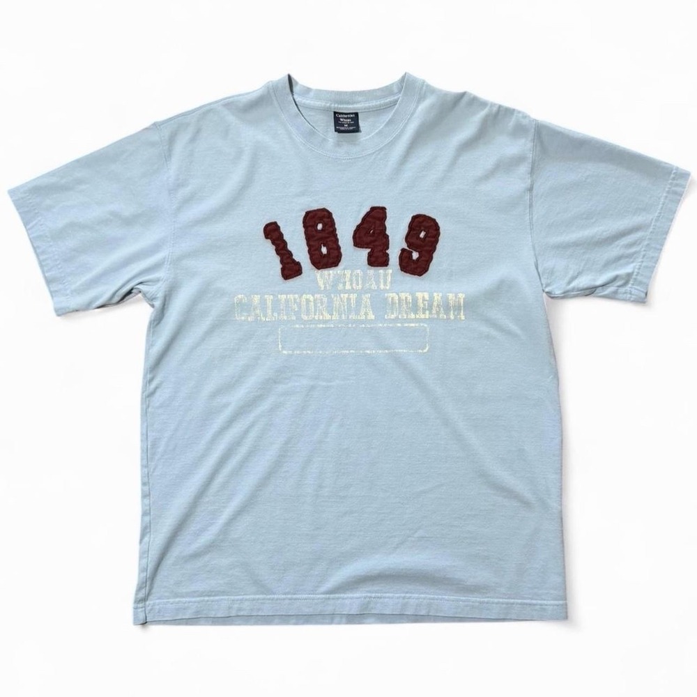 Y2K Embroidered California Dream Baby Blue Beach Surf California T-shirt M 21x28